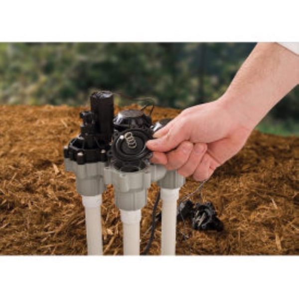 Rain Bird DASASVF100 Anti-Siphon Valve with Flow Control, Plastic Fashion - Image 5