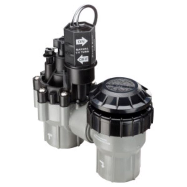 Rain Bird DASASVF100 Anti-Siphon Valve with Flow Control, Plastic Fashion